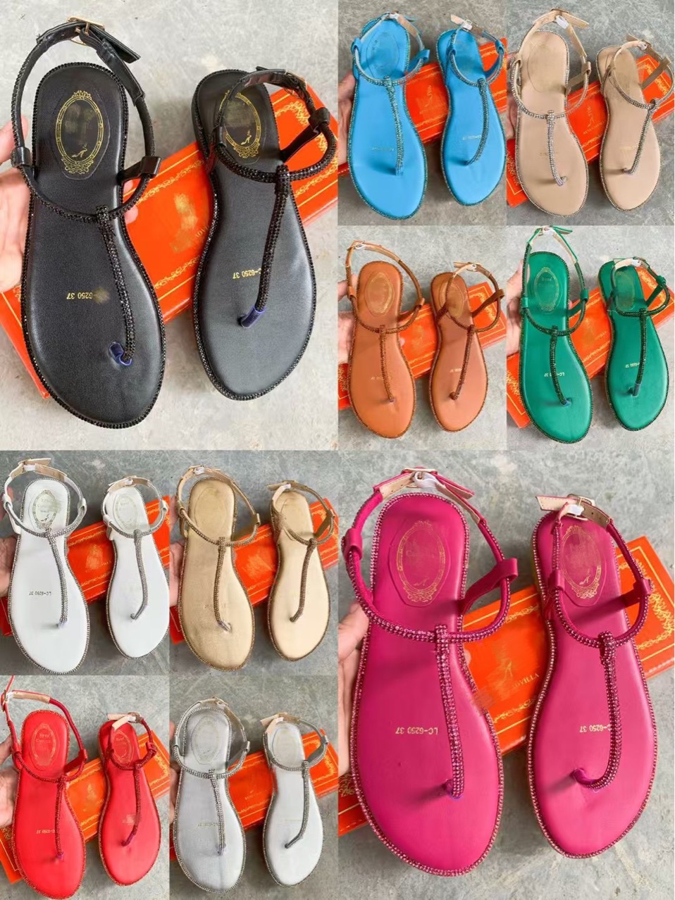 h2uTiviiztSHn2aJjQ1VWrF5OeWToZ1kU9FR