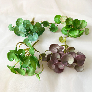 ����������~���ָ�ܛ�z����ֲ��t���~�~�X�ݼ��bGֲɭ��ܛ�b