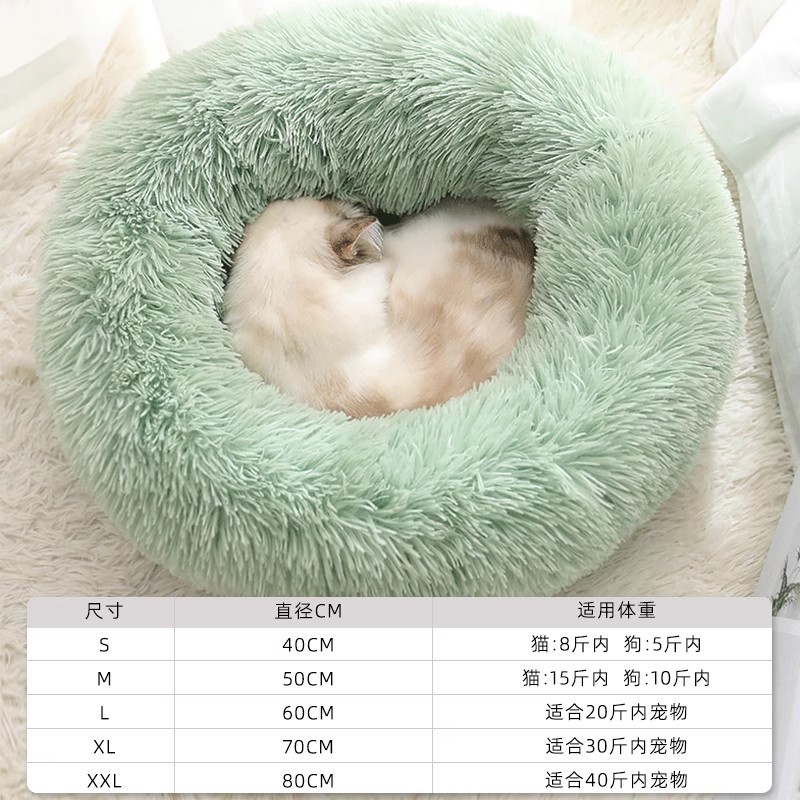 Invierno de invierno