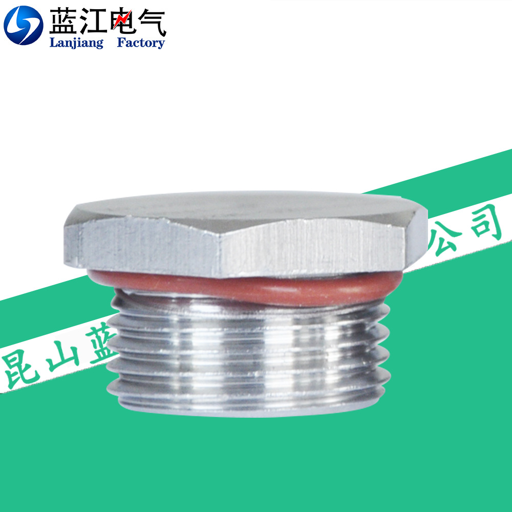 蓝江 防爆不锈钢闷盖Exd隔爆金属防水堵头IP68密封外螺纹旋入塞头