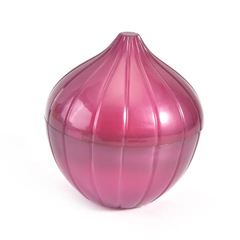 Manufacturer's 5-Piece Plastic Onion Lemon Pepper Tomato Garlic Preservation Box, Exclusive Cross-Border Supply