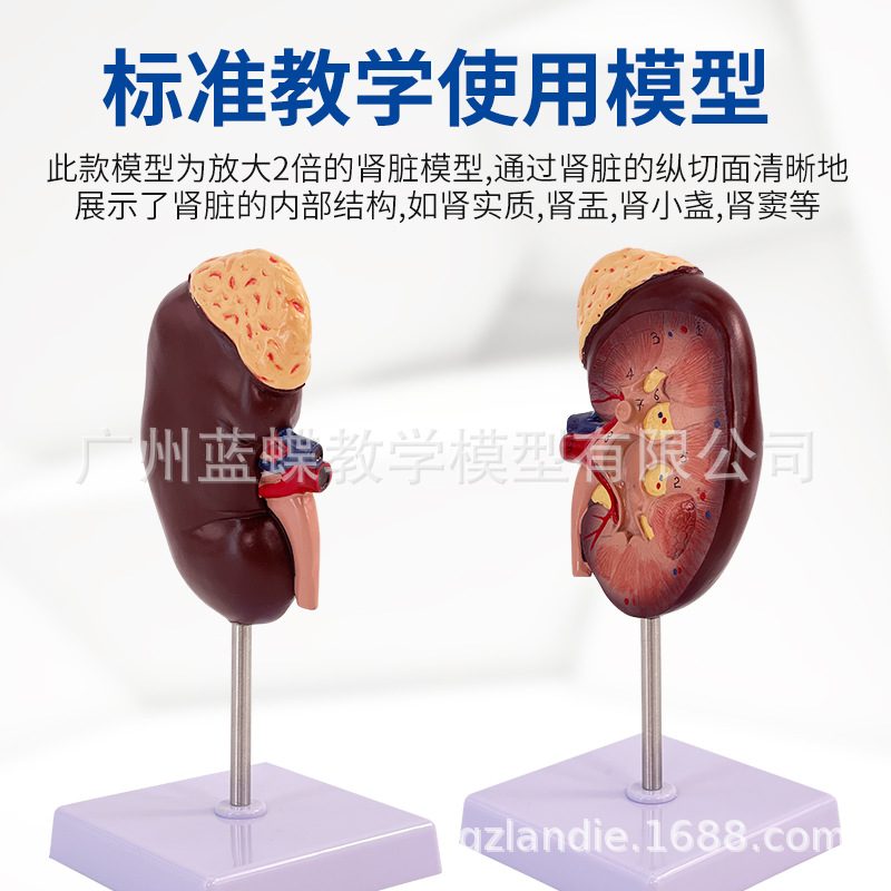 2���Ŵ�����Ŵ�ģ�� �Ŵ�� ������ģ�� 1���� �����������ģ��