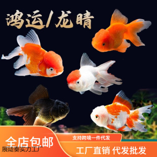 ���~���~�^�p�~��ˮ��ˮ�~С�ͺ��B�ͻ��\���~��С���~