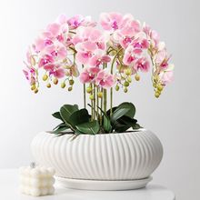 欧式花盆陶瓷艺术创意轻奢绿植盆室内客厅桌面蝴蝶兰多肉陶瓷花盆