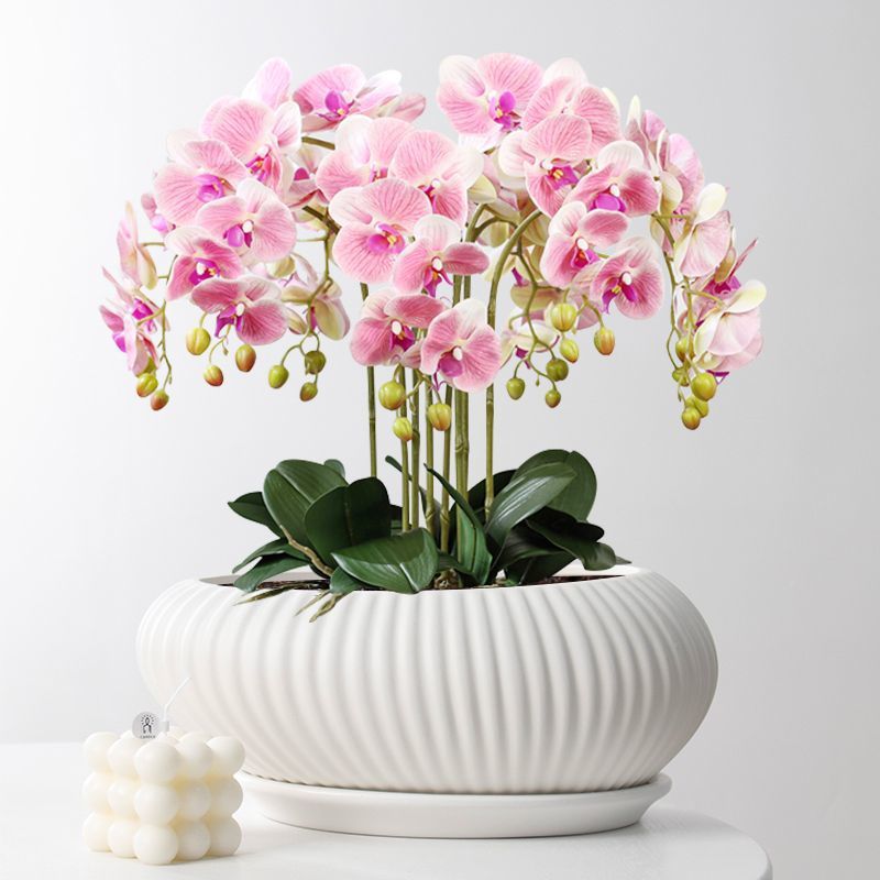 欧式花盆陶瓷艺术创意轻奢绿植盆室内客厅桌面蝴蝶兰多肉陶瓷花盆