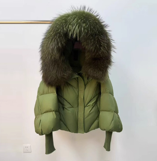 군청색 + 라쿤털 칼라