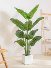 Wֲ˽Ϳ͏d҃B[bپGֲ