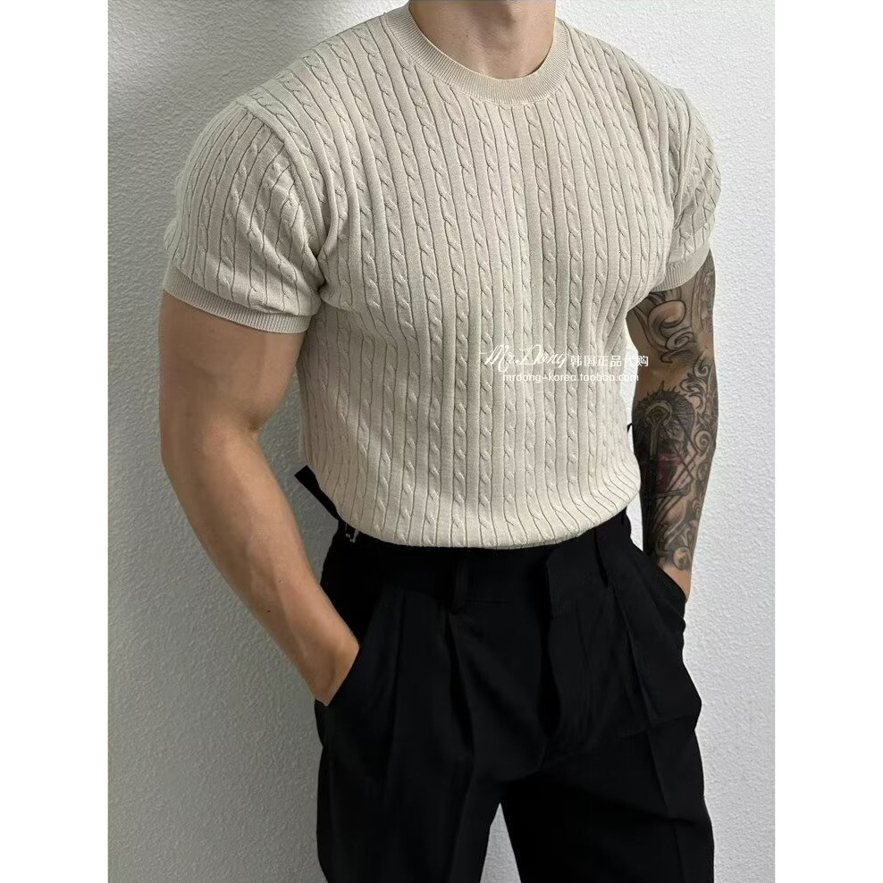 Suéter de punto de manga corta torta sensación de textura masculina Negocio británico autocultivo muscular seda de hielo verano comercio exterior transfronterizo al por mayor