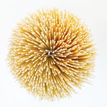 20/25/30����С�⴮�����������u���uС�񺞟�����	���ò͏N�>