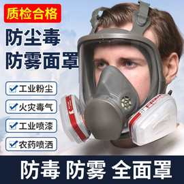 防毒全面具防雾装修喷漆化工厂农药专用防尘毒大视野全脸防护跨境