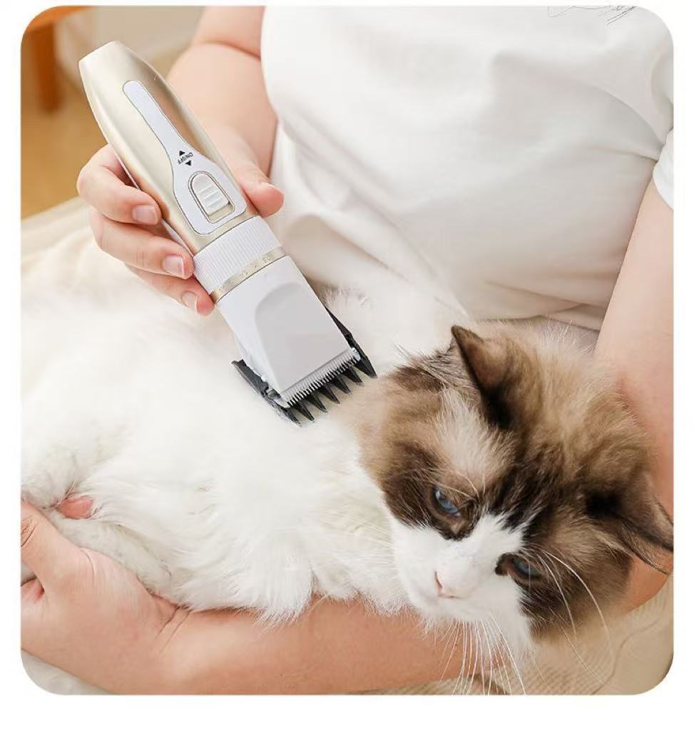 ff1669f7-0b99-40f1-941a-e9d94b323da3.jpe