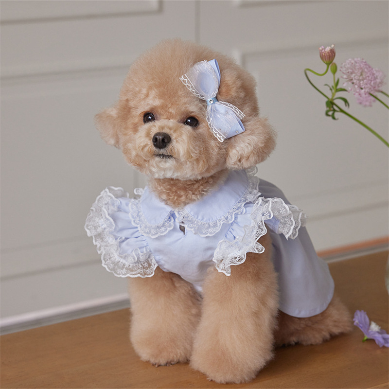 Perro mascota ropa de gato vestido de encaje de primavera y verano a juego tocado horquilla