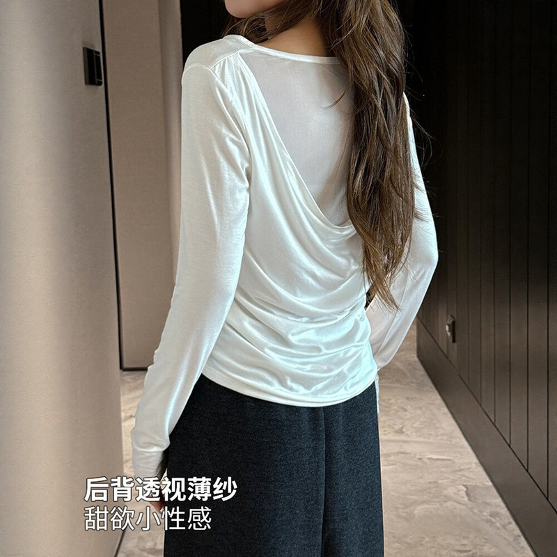 Stunning sheer mesh backless slim-fit pure-sexy long-sleeve t-shirt for women, early autumn chic and unique top