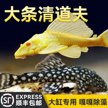 ������~���坍����̦���^�p�~�ᎧŮ����ˮ��ʺ�����S���������