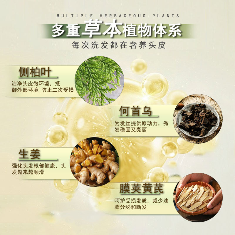 手工侧柏防脱固发洗发液控油去屑蓬松防脱固发精华植物专利洗发水|undefined