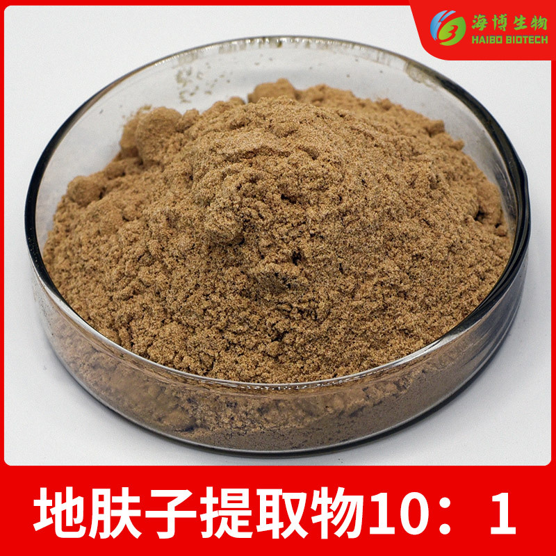 地肤子提取物10：1真实比例  地葵粉 比例萃取 海博生物 现货