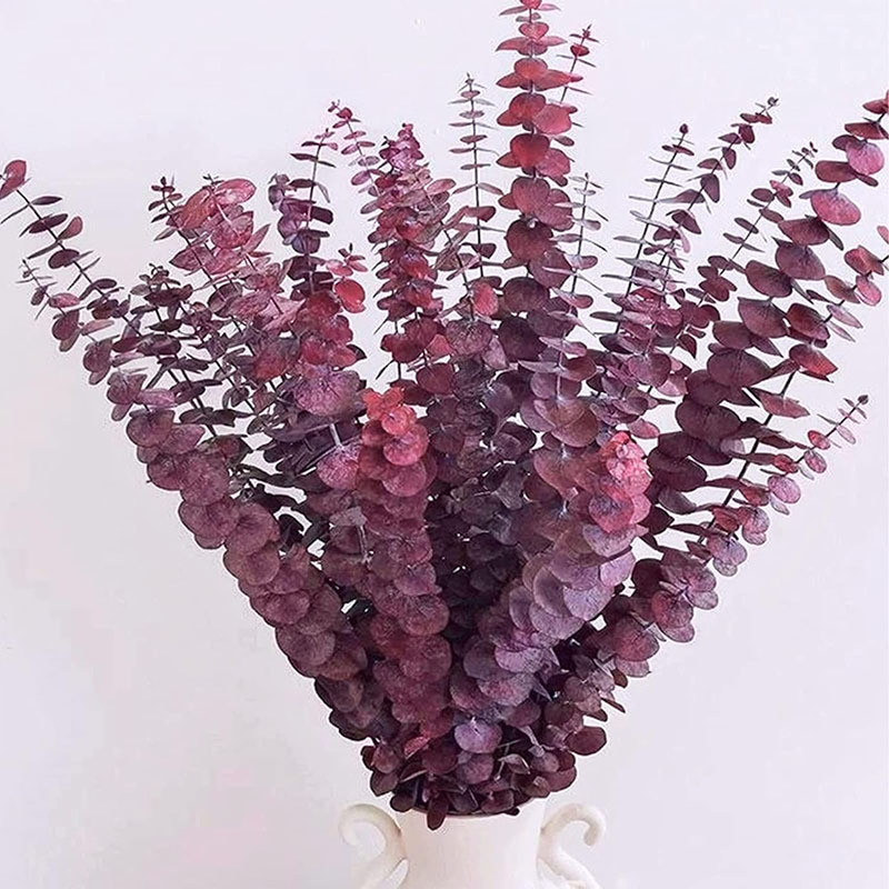 国境を越えて人気のある永遠の命ユーカリユーカリの葉リンゴの葉ラベンダーが花束diy材料のドライフラワーの花束を混ぜた|undefined