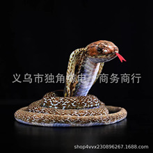 �羳ë�q�����ϼ������R����߹���