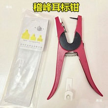 回弹钳号钳用打耳牛羊耳标兽用耳钳养殖母猪自动钳猪用耳孔金属