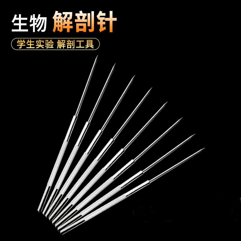 Anatomy Needles for Junior High School Students Experimental Equipment Stainless Steel Probe Insect Anatomy Needles Biological Anatomy Tools