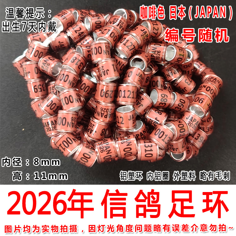 2026年咖色日本2