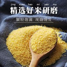 玉米面农家小米面现磨小米面粉生粉黄米粉黄小米面粉工厂直发批发