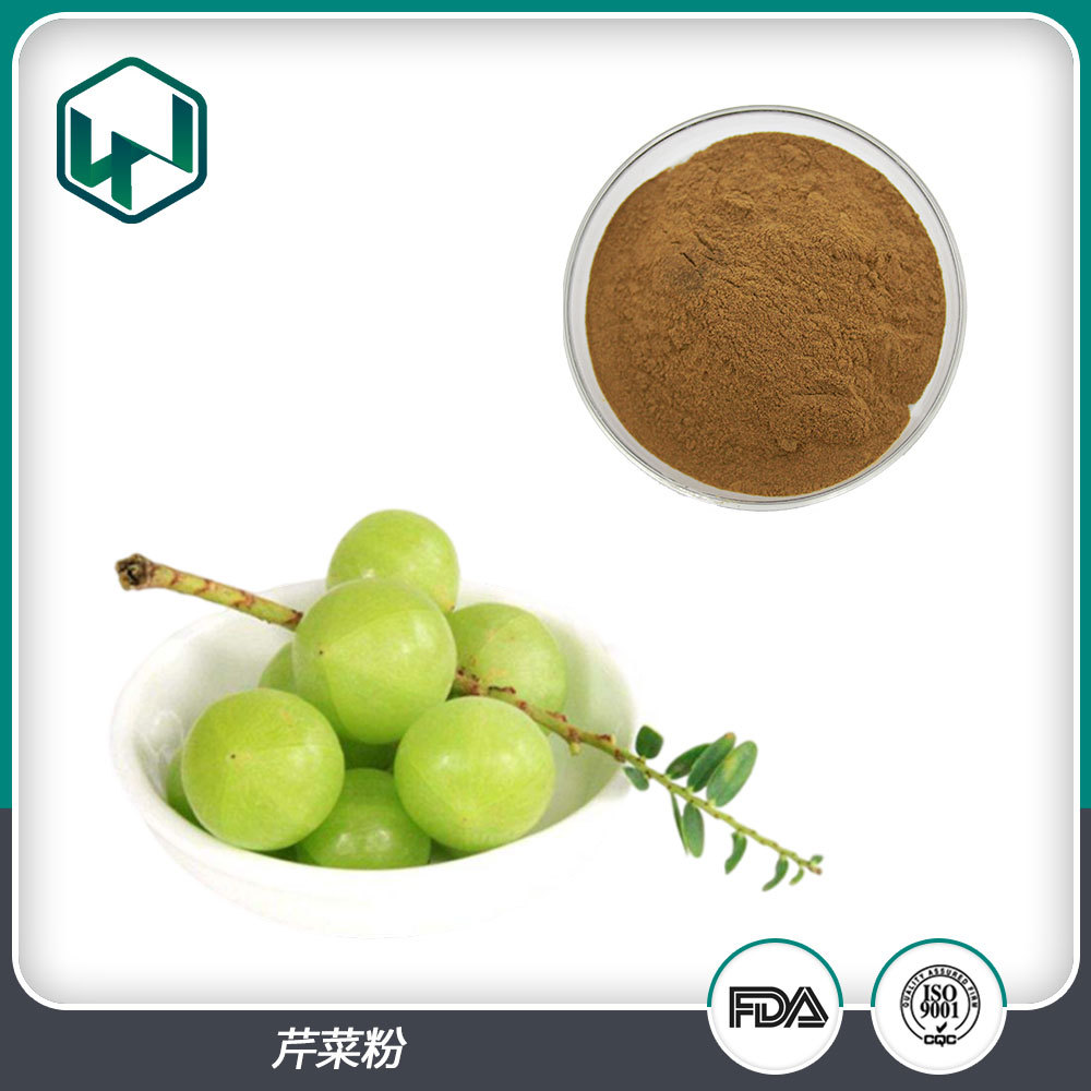 余甘子提取物 10:1%比例天然植物提果蔬粉 厂家现货包邮量大从优