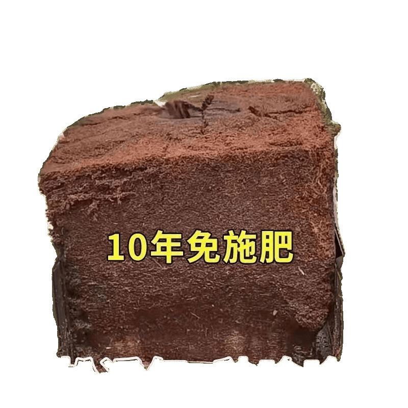 9斤大块椰砖营养土养花型椰子壳土壤耶砖种菜盆栽脱盐椰糠砖|undefined
