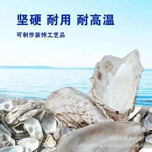 ��򺚤���lˮ�����Ʒ���ĵϠ��1.6/�ﮋ��diy�~���^�V����