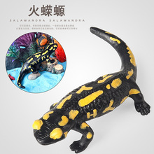 跨境仿真儿童玩具火蝾螈旗鱼娃娃鱼海星鲈鱼锯鳐海洋动物模型摆件
