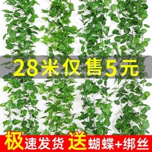 ���l���üٻ��b��{ˮ�ܵ��ٗl�ړ����~�G�}��������bGֲ