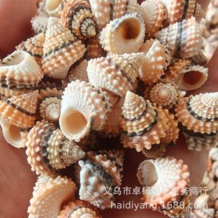 ���������� ��Ȼ����ؐ�� �ֹ�diy���� �~���b� ����ؐ������