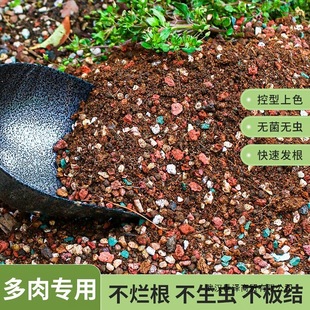 ���۽z�������I5����5����⌣���w����ֱ�ӷNֲ�����w�����Nֲ��