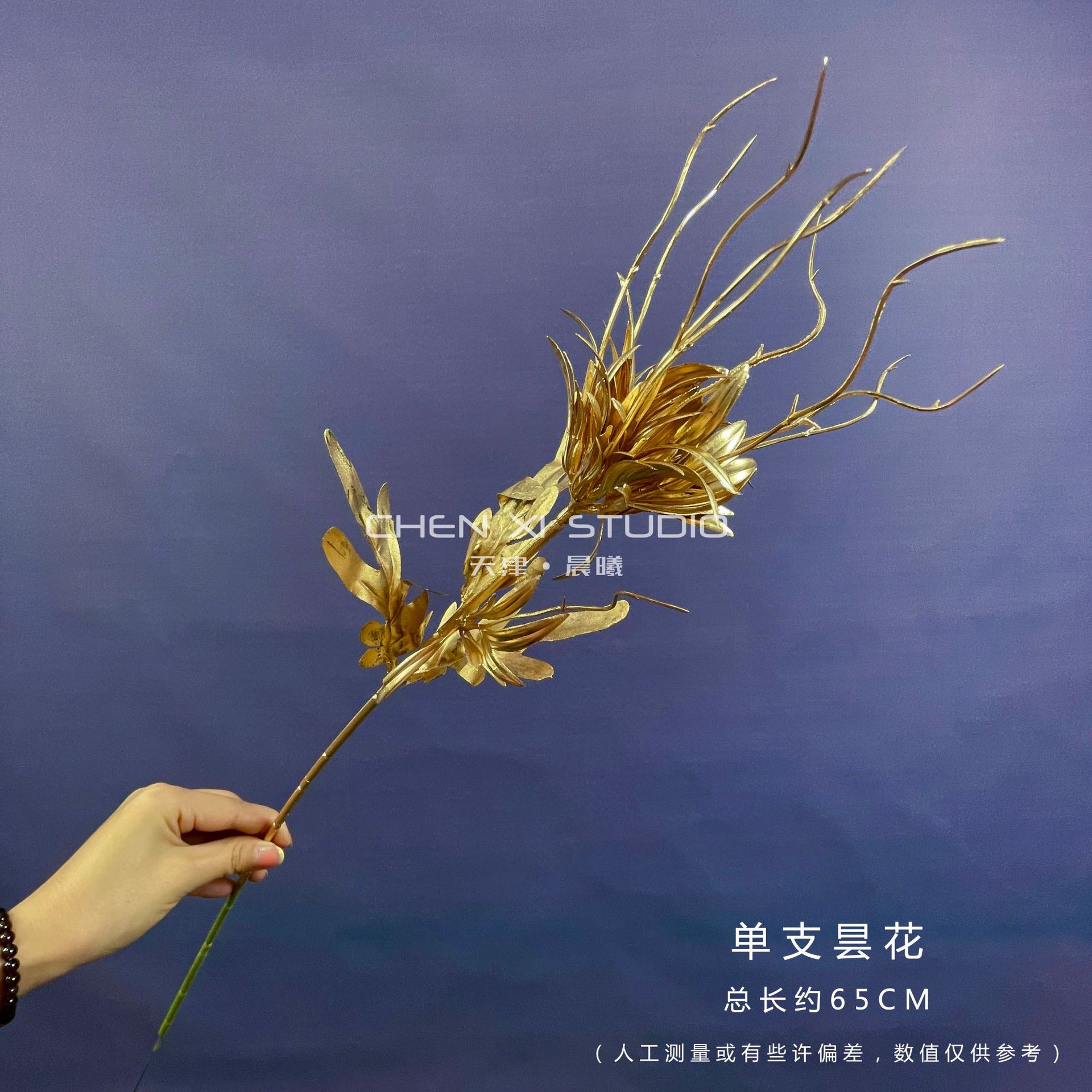 단일 epiphyllum