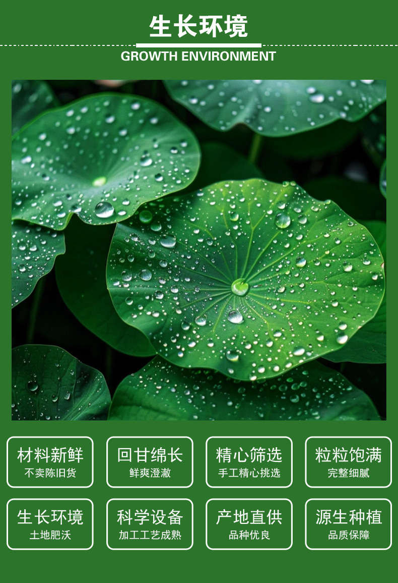 Lotus Leaf Granules (Nelumbo nucifera) — Dried Food-Herb Tea, Unsulfured, 500g Bulk key features