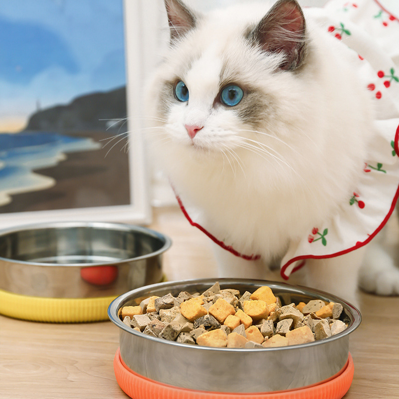 Perro tazón de comida de acero inoxidable tazón de gato protección del cuello tazón de fuente de bebida antideslizante comida para gatos tazón de arroz suministros para mascotas