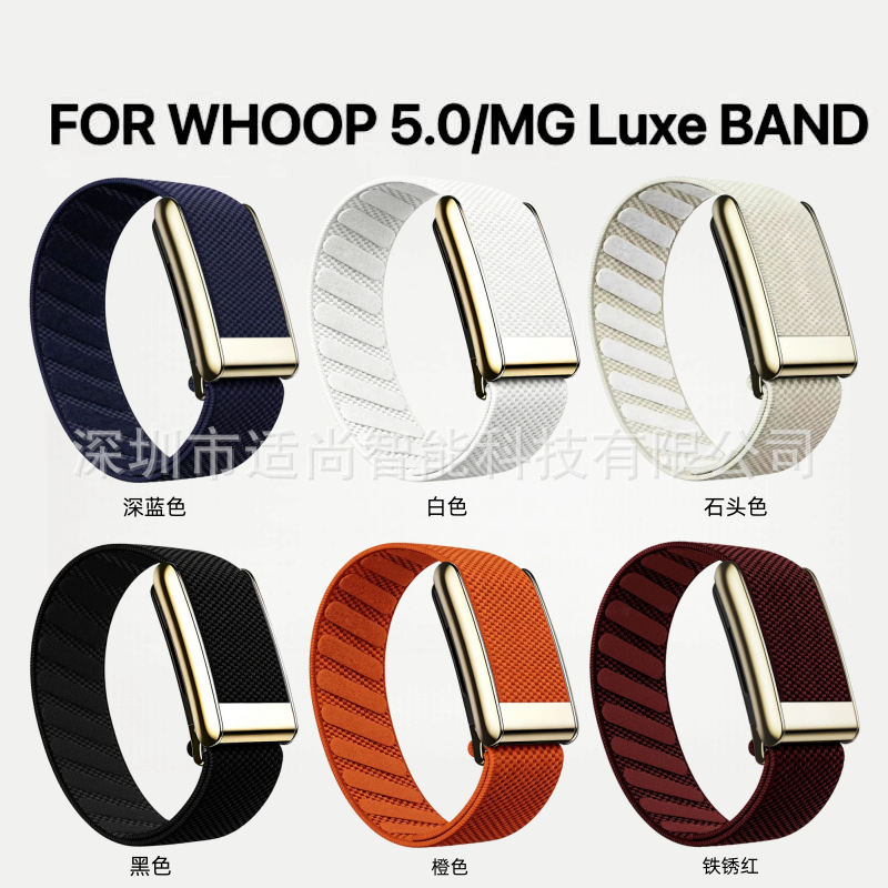 Whoop 5.0 üçün elastik nylon bilərzik, qızıl və gümüş çərçivə