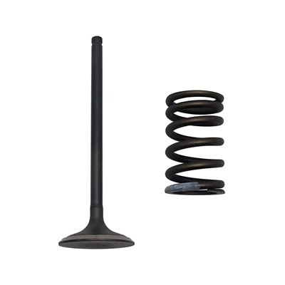 Cross-border compatible with the Chunfeng 500 ATV, C5 intake valve assembly, KQ-76 (Motorcycle engine and accessories)