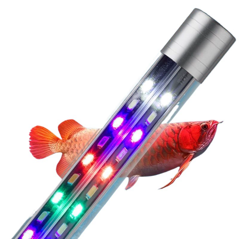 LED-аквариум, подводные светильники