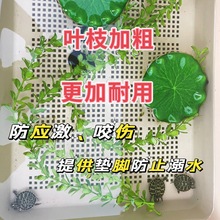 乌龟躲避仿真水草鱼缸龟缸造景装饰乌龟水草防溺水躲避用假草植黎