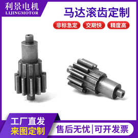 源头工厂批发0.5模数齿轮 行星小齿轮精密滚齿加工微型电机滚齿
