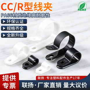 ���������������߾��̶���R�;��A늾����۲������ռ{�̶��A �P