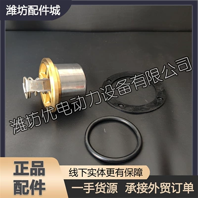 Weifang 6160 Model 6170 Marine 8170 Diesel Engine 60 Degree 69 Degree Thermostat Core Ship Parts (Thermostat)