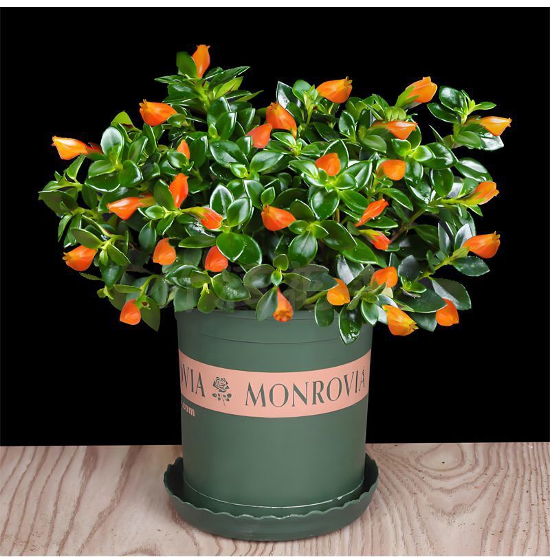 b614ee29-d969-4bd6-96ca-18ab42b1c39d.jpe