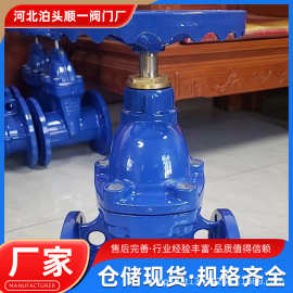 河北阀门厂球墨铸铁法兰软密封闸阀弹性底座消防水泵阀门