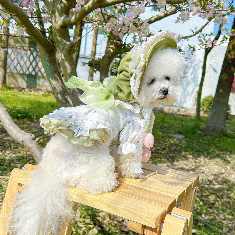 スポットクロスボーダー人気ペット子犬猫服工場直販春夏花柄プリンセススカートと帽子の組み合わせ|undefined