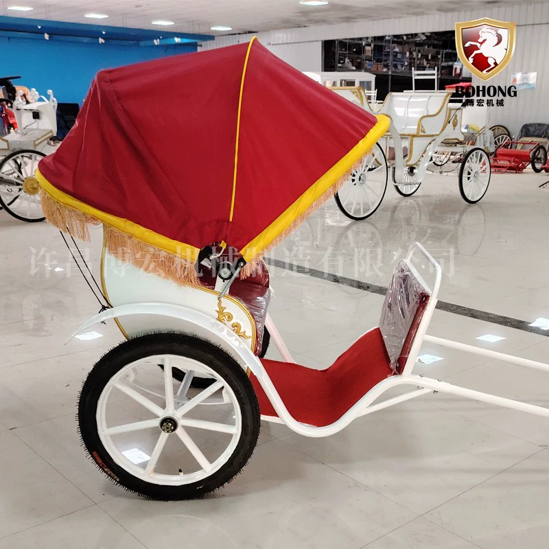 Pony carriage white two-wheel sightseeing pony Debao Shetland children's amusement equipment scenic parent-child riding