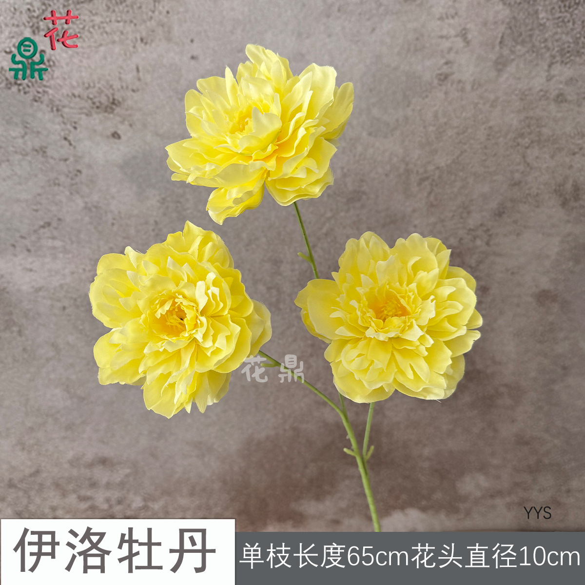 Yiluo Peony YYS Vàng