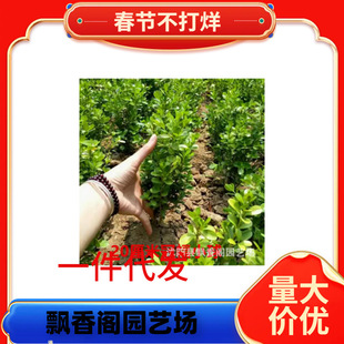 һ�����l�����S����~�S����綬���ͺ�ͥԺ�����h���ļ���������