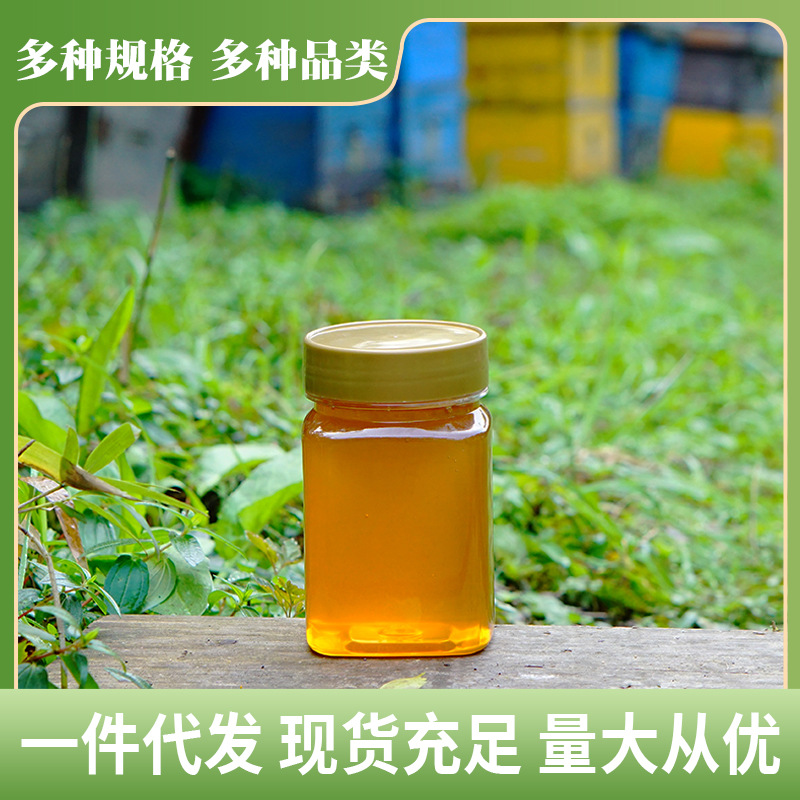 鸭脚木蜂蜜正宗一件代发冬蜜批发鹅掌柴蜂蜜散装